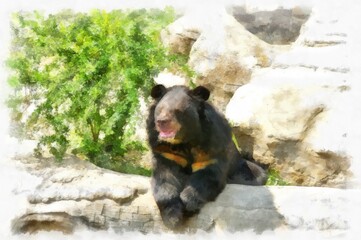 bear dog watercolor style illustration impressionist painting.