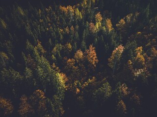 Views from around Triglav National Park in Slovenia