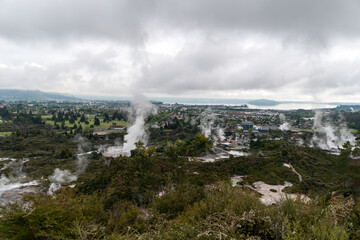 Whakarewarewa Geyser at Te Pui thermal park in geothermal valley of Rotorua, New Zealand