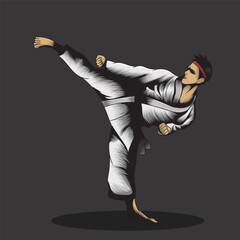 vector illustration of a karate man doing a kick © Forde