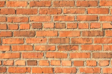 Obraz premium brick wall