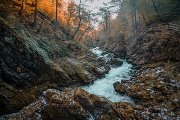 Vintgar Gorge (Soteska Vintgar) in Triglav National Park in Slovenia