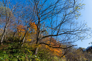 霜月　白山麓の風景