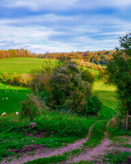 Autumn view towards Uppark Park and the folly known as the Bosom near South Harting Down, South...