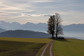Fototapeta na wymiar Aussicht vom Belpberg, Bern, Schweiz