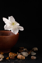 Fototapeta na wymiar Beautiful white flowers in ceramic ware and space for text on a black background
