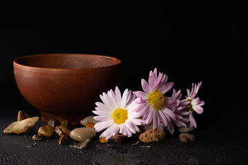 Beautiful flowers, ceramic ware and space for text on a black background