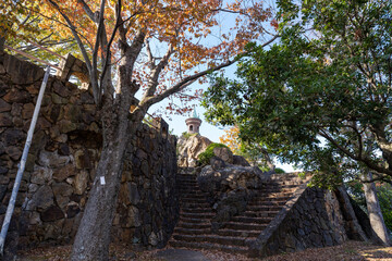 手柄山中央公園