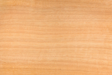 Obraz premium Empty wooden panel