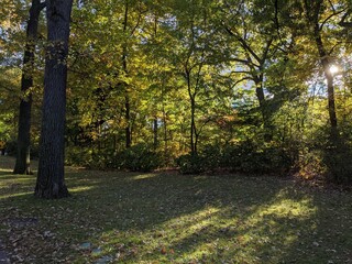 Fall in Bronx Botanical Gardens, New York - October 2021