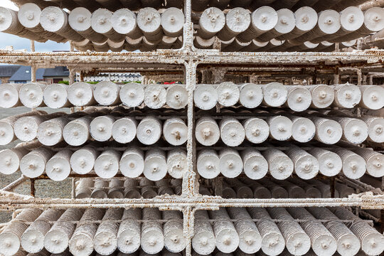 Equipment For Raising Oyster And Mussel Spat At Le Vivier Sur Mer In Brittany France.