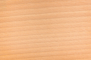 Fototapeta premium Empty wooden panel