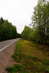natural background asphalt road through the forest
