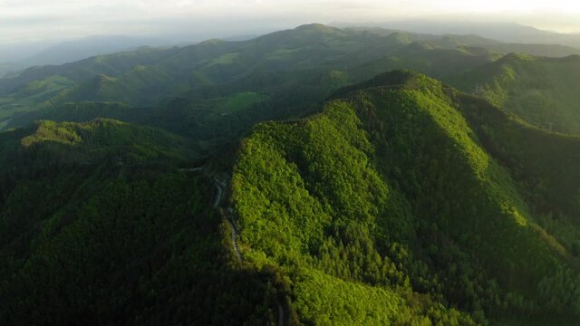 Aerial Beautiful Shot Of Road Amidst Trees On Mountains, Drone Flying Over Forest - Apennine Mountains, Italy
