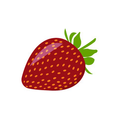 red strawberry design vector graphic