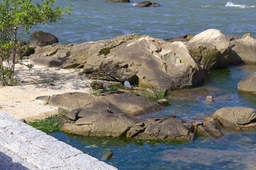 Stones by the sea in the city of São José in the state of Santa Catarina in Brazil