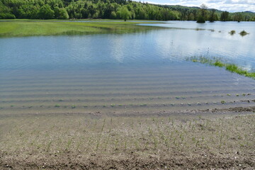 Garden and meadows under water because of floods - global climatic changes concept.