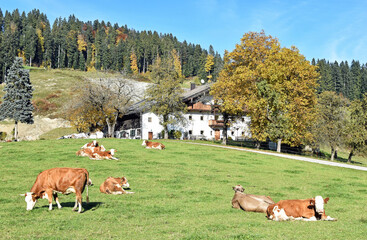 Bergbauernhof in Tirol - Österreich