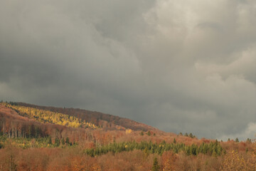 Panoramic view of the autumn landscape in the mountains. gray stormy sky. Ukrainian Carpathians.