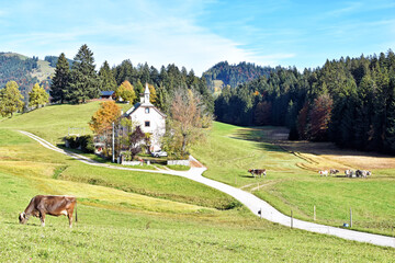 Landschaft in Tirol - Österreich
