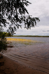 the northern forest near the reservoir at the end of summer