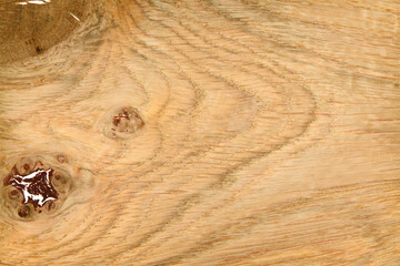 texture of knotty oak wood