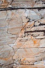 texture of stone arenite