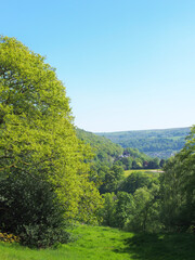 Fototapeta na wymiar view of the valley and woodland looking over pecket well in calderdale west yorkshire