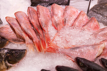 carcasses of sea bass in ice. fish department in the market