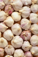 Garlic bulbs
