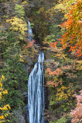 奥秩父丸神の滝