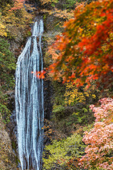 奥秩父丸神の滝