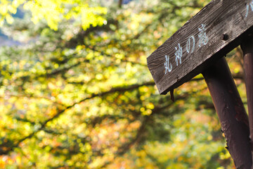 奥秩父丸神の滝