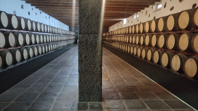 wine barrels in a cellar