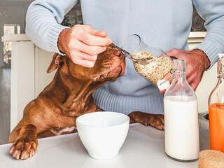 Adorable, pretty puppy and handsome man preparing a healthy breakfast. Closeup, indoors. Day light,...