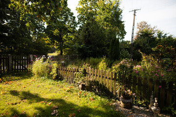 A green garden in the countryside in the morning sunshine.