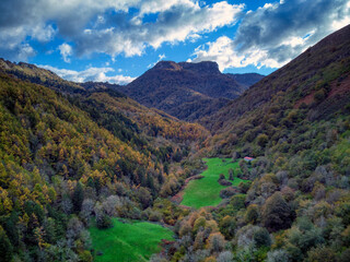 Forest views in autumn in Parres, Asturias.