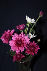 bouquet of pink chrysanthemum