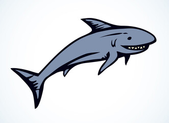 Great gray shark. Vector drawing