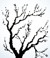Vector image of mighty tree with bare branches