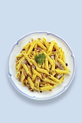 plate with penne with tuna and sardine chips seen from above