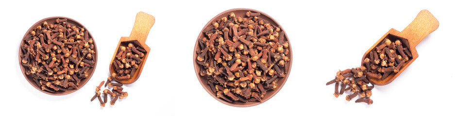 Set of spice clove (Syzygium aromaticum) in wooden scoop, clay plate, scattering on white background isolated. Close up, macro. Flat lay