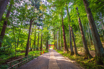 岩手県　中尊寺の風景