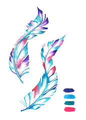 Obraz premium Feathers. Watercolor