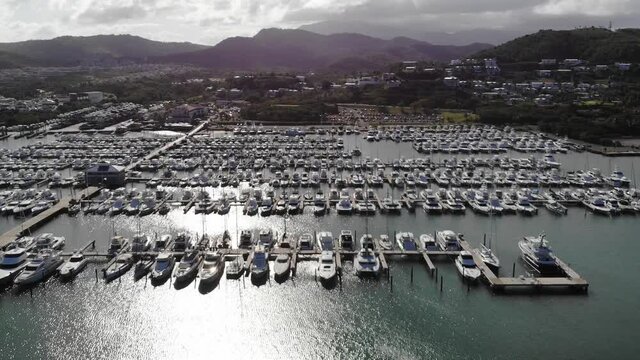 boats in the harbor