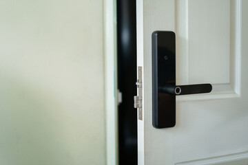 Digital door lock systems for good safety of home apartment door. Digital door handle.
