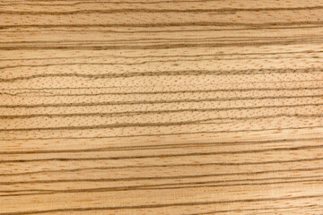 texture of wood