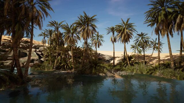 pond and palm trees in desert oasis