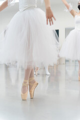 Fototapeta na wymiar Ballet dancers and nutcracker attire
