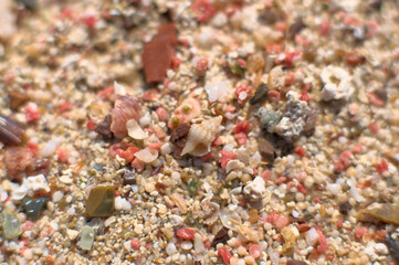 So-called pink sand from Elafonisi beach on Crete, Greece. Closeup shot of pink sand  with some tiny shells..